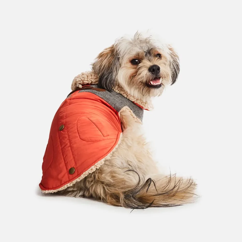 Sherpa Fleece Dog Coat—Orange - Image 2