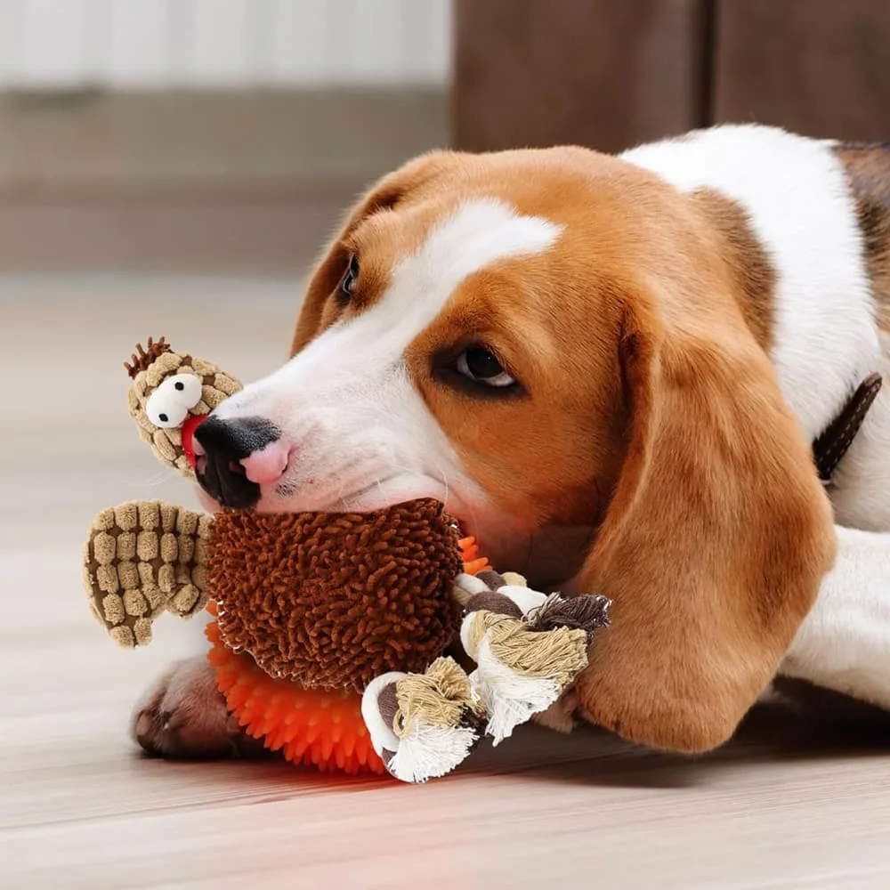 Pets Gigglers Chicken—Dog Toy - Image 2