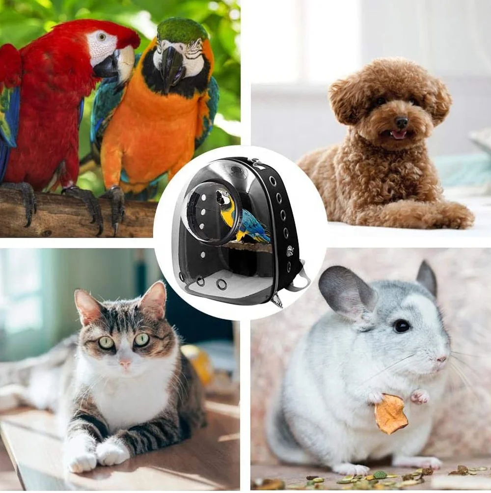 Backpack Bubble Bird Travel Carrier Backpack Bird Carrier with Perch Parrot Travel Lightweight Bird Cage Backpack - Image 5